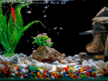 How to make fish tank decoration with clay