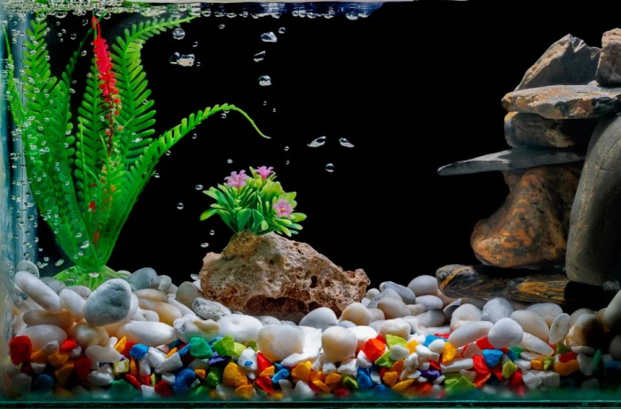 How to make fish tank decoration with clay